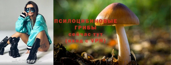 трава Верхнеуральск